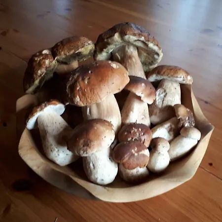 Roubenka Hébergement de vacances